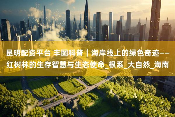昆明配资平台 丰图科普｜海岸线上的绿色奇迹——红树林的生存智慧与生态使命_根系_大自然_海南